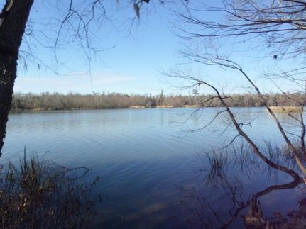 Lakefront Property for sale in Decatur County, Georgia