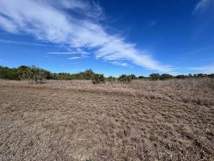Land for sale in Hendry County, Florida
