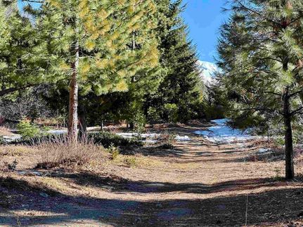 Land for sale in Siskiyou County, California