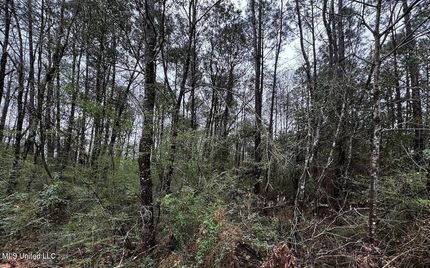 Land for sale in Harrison County, Mississippi