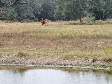Undeveloped Land for sale in Colorado County, Texas