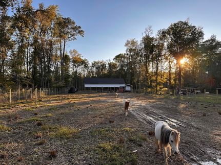 Homesite for sale in Colleton County, South Carolina