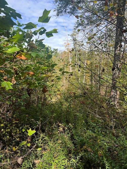 Land for sale in Raleigh County, West Virginia