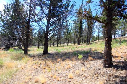 Homesite for sale in Crook County, Oregon