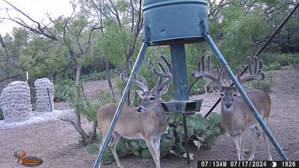 Recreational Property for sale in Runnels County, Texas