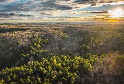 Farm and Ranch for sale in Texas County, Missouri