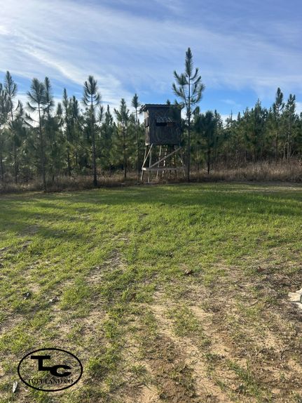 Farm and Ranch for sale in Greene County, Mississippi