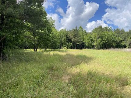 Timberland Property for sale in Henderson County, Tennessee