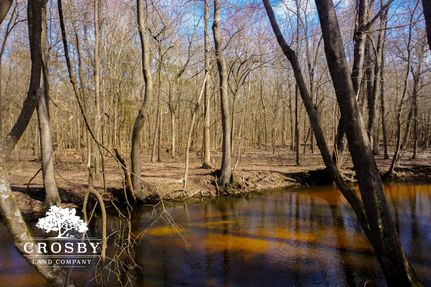 Land for sale in Clarendon County, South Carolina