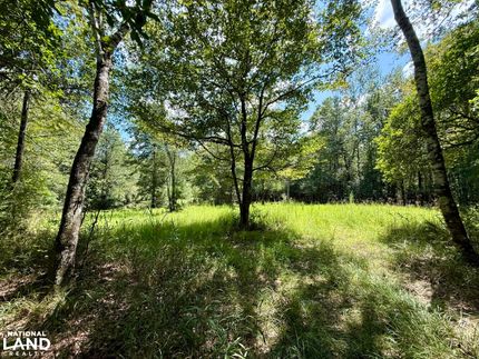 Undeveloped Land for sale in Washington County, Alabama
