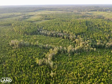 Hunting Property for sale in Greene County, Mississippi