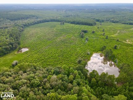 Recreational Property for sale in Greene County, Mississippi