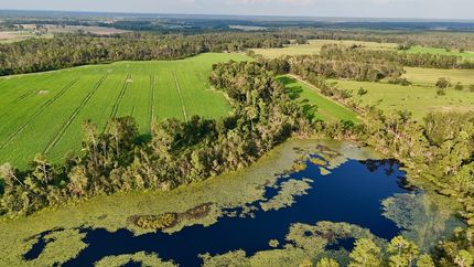 Land for sale in Jeff Davis County, Georgia