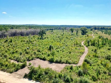 Land for sale in Grady County, Georgia