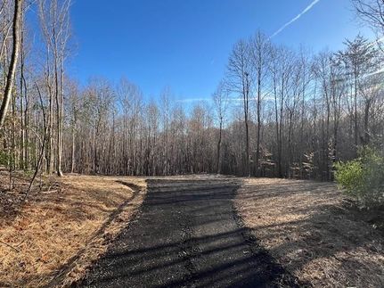 Timberland Property for sale in Pittsylvania County, Virginia