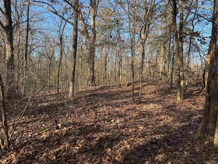 Undeveloped Land for sale in Pike County, Arkansas