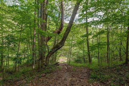 Undeveloped Land for sale in Adams County, Ohio