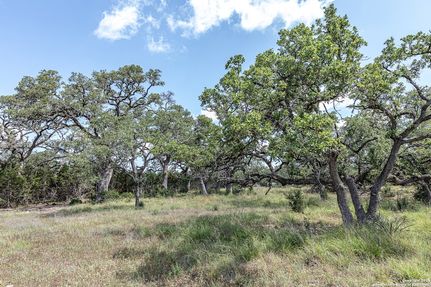 Undeveloped Land for sale in Comal County, Texas