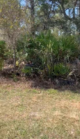 Land for sale in Lake County, Florida