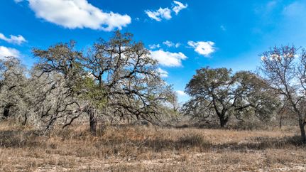 Recreational Property for sale in Medina County, Texas