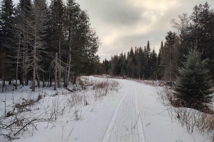 Hunting Property for sale in Delta County, Michigan