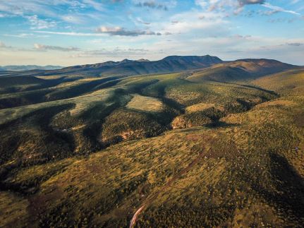 Land for sale in Catron County, New Mexico