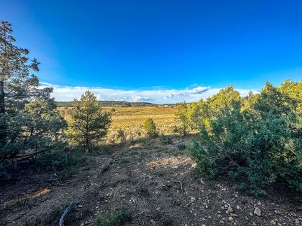 Land for sale in Rio Arriba County, New Mexico