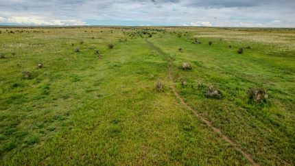 Farm and Ranch for sale in Torrance County, New Mexico