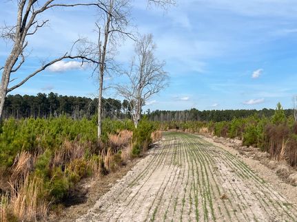 Farm and Ranch for sale in Williamsburg County, South Carolina