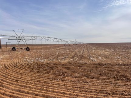 Farm and Ranch for sale in Lynn County, Texas