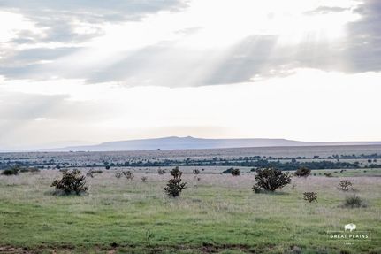 House for sale in Harding County, New Mexico