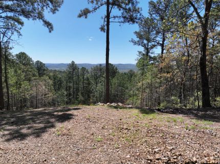 Homesite for sale in Pushmataha County, Oklahoma
