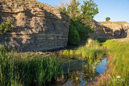 Farm and Ranch for sale in Prowers County, Colorado