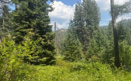 Recreational Property for sale in Adams County, Idaho