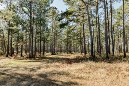 Timberland Property for sale in Colleton County, South Carolina