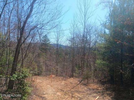 Undeveloped Land for sale in Morgan County, Tennessee