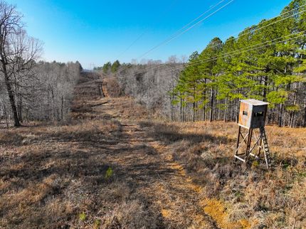 Land for sale in Lyon County, Kentucky