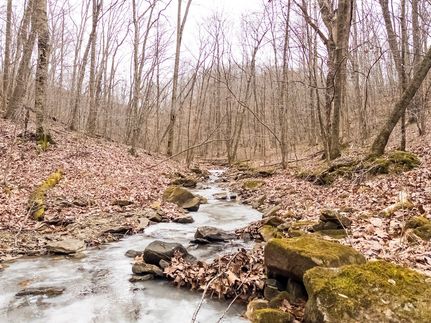 Undeveloped Land for sale in Greenbrier County, West Virginia