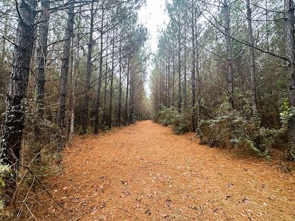 Timberland Property for sale in Pike County, Mississippi