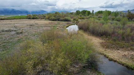 Undeveloped Land for sale in Custer County, Idaho