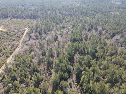 Land for sale in Union Parish, Louisiana