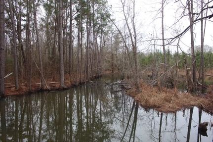 Undeveloped Land for sale in Laurens County, Georgia