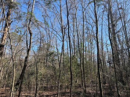 Recreational Property for sale in Crenshaw County, Alabama