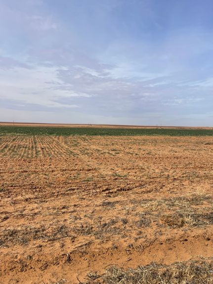 Undeveloped Land for sale in Lynn County, Texas