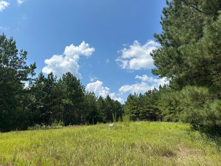Hunting Property for sale in Choctaw County, Alabama