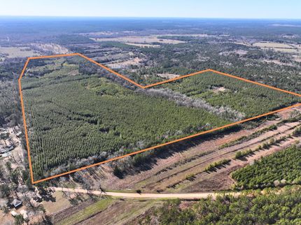 Farm and Ranch for sale in San Jacinto County, Texas