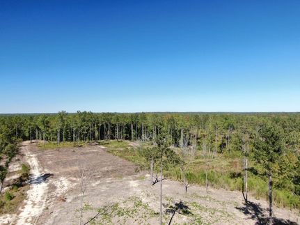 Undeveloped Land for sale in Elmore County, Alabama