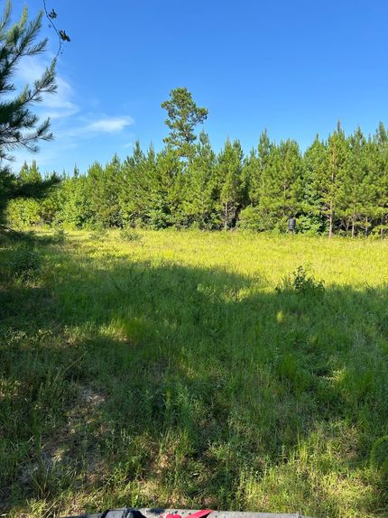 Hunting Property for sale in Conecuh County, Alabama