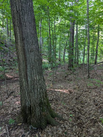 Recreational Property for sale in Sawyer County, Wisconsin