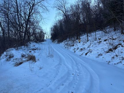 Land for sale in Buffalo County, Wisconsin